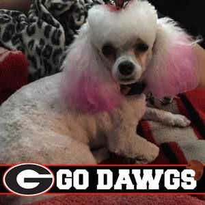 Meet your Posher, Michelle